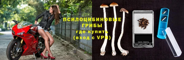 не бодяженный Зеленодольск
