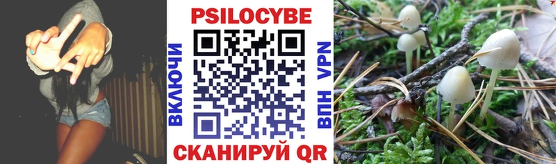 Галлюциногенные грибы GOLDEN TEACHER Курчатов