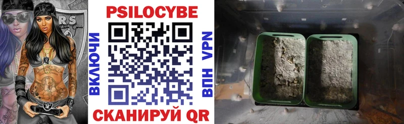 Псилоцибиновые грибы мухоморы  Купить где  Курчатов 